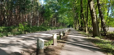 Hilvarenbeek - Photo 4