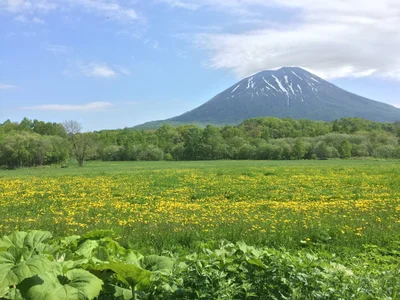 Makkari - Photo 4