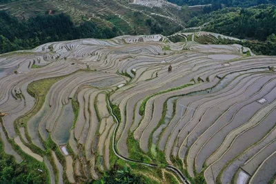 Congjiang - Photo 4