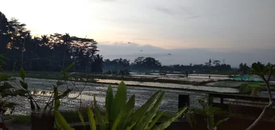 Gianyar - Photo 2