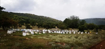 Elassona Municipality - Photo 3