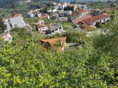 Glossa - Photo 2