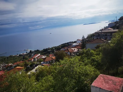 Glossa - Photo 4