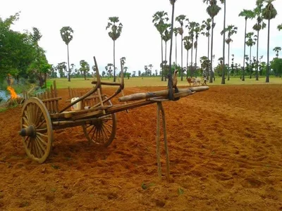 Kyaukpadaung Township - Photo 5