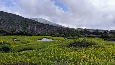 Shichikashuku - Photo 4