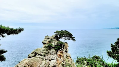 Hyeonbuk - Photo 4