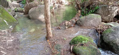 Bilin Township - Photo 4