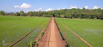 Bilin Township - Photo 5