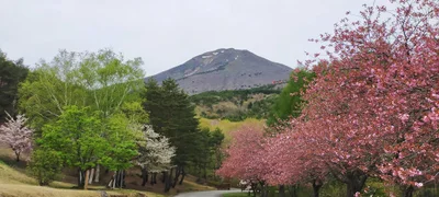 Inawashiro - Photo 5