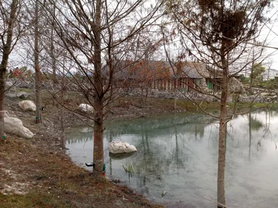 Shoufeng - Photo 2