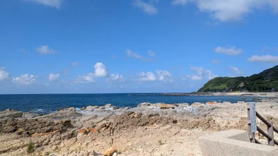 Suzu - Photo 4