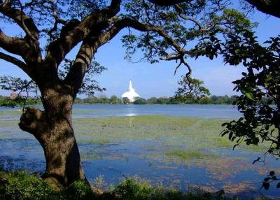 Anuradhapura - Photo 4