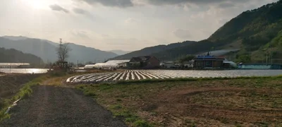 Daehwa-myeon - Photo 2