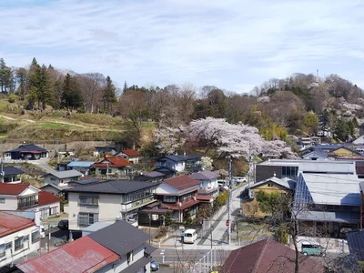 Miharu - Photo 3