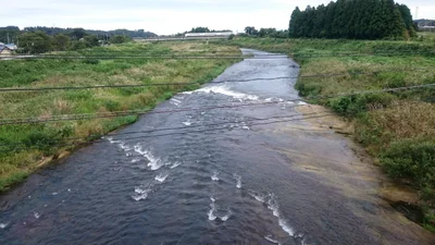 Naraha - Photo 4