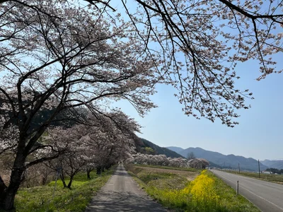 Ten-ei - Photo 3