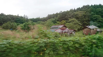 Shinano - Photo 3