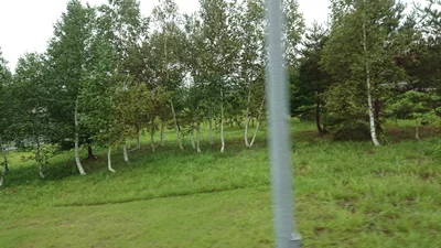 Shinano - Photo 4