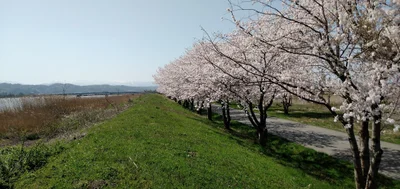 Uchinada - Photo 3