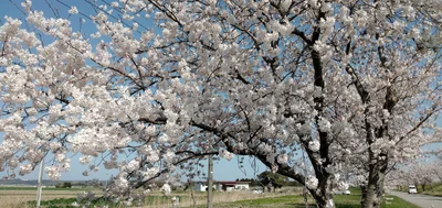 Uchinada - Photo 4