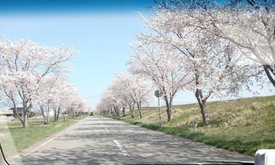 Uchinada - Photo 5