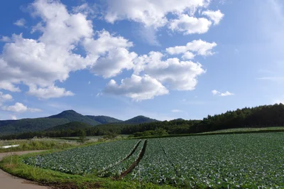 Tsumagoi - Photo 2