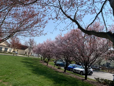 Plainsboro Township - Photo 2