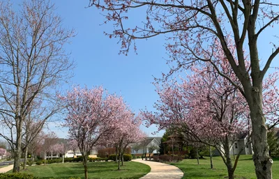 Plainsboro Township - Photo 4