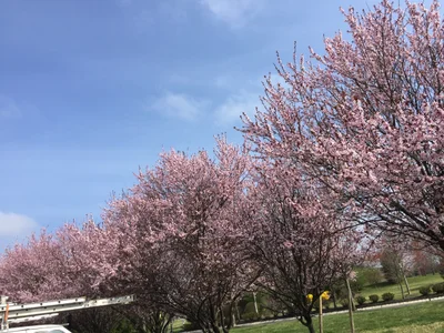 Plainsboro Township - Photo 5