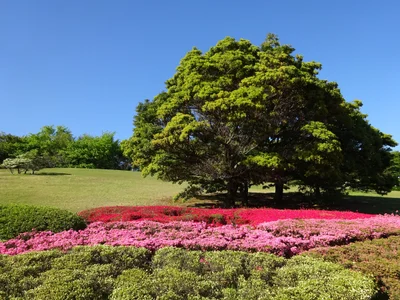 Suita - Photo 2