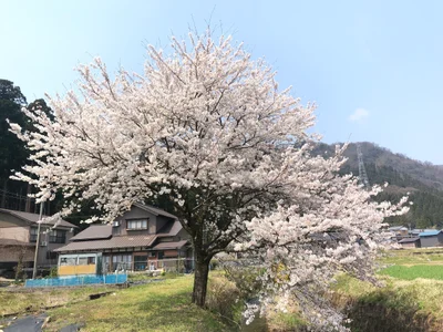 Katsuyama - Photo 2