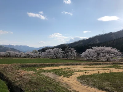 Katsuyama - Photo 3