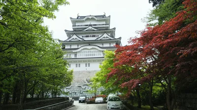 Katsuyama - Photo 4