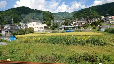 Suwa - Photo 2