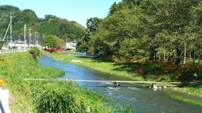 Ogawa - Photo 3
