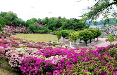 Sabae - Photo 2