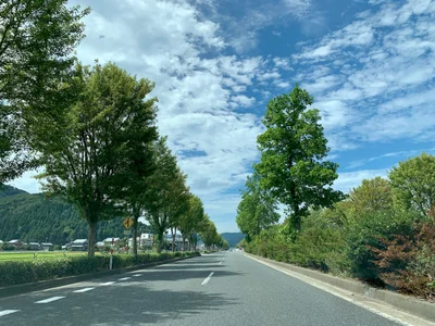 Sabae - Photo 3