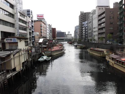 Taito - Photo 3