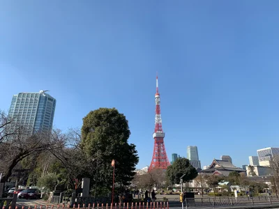 Minato - Photo 3