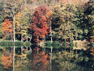 Montreat - Photo 2