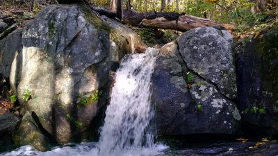 Montreat - Photo 3
