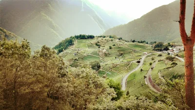 Ibigawa - Photo 2