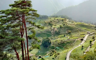 Ibigawa - Photo 4