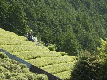 Ibigawa - Photo 5