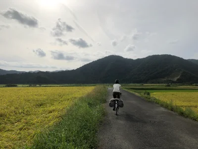 Wakasa - Photo 2