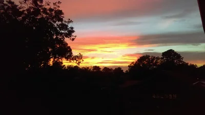 Beaufort County - Photo 4