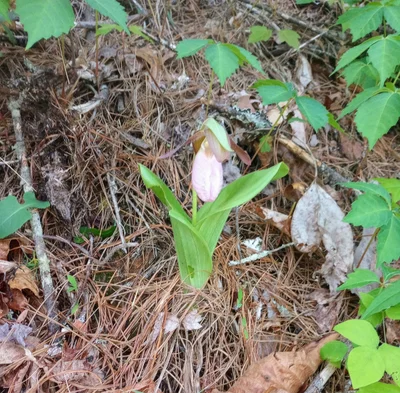 Graham County - Photo 4