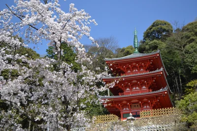 Gifu - Photo 5