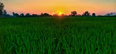 Mirpur - Photo 4