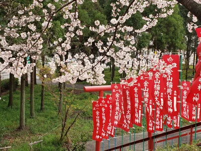 Kakamigahara - Photo 3